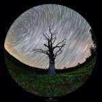 Dönen Bir Gezegendeki Kökler Dönen Bir Gezegendeki Kökler