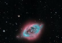 NGC1360: Ardıç Yumurtası Nebulası