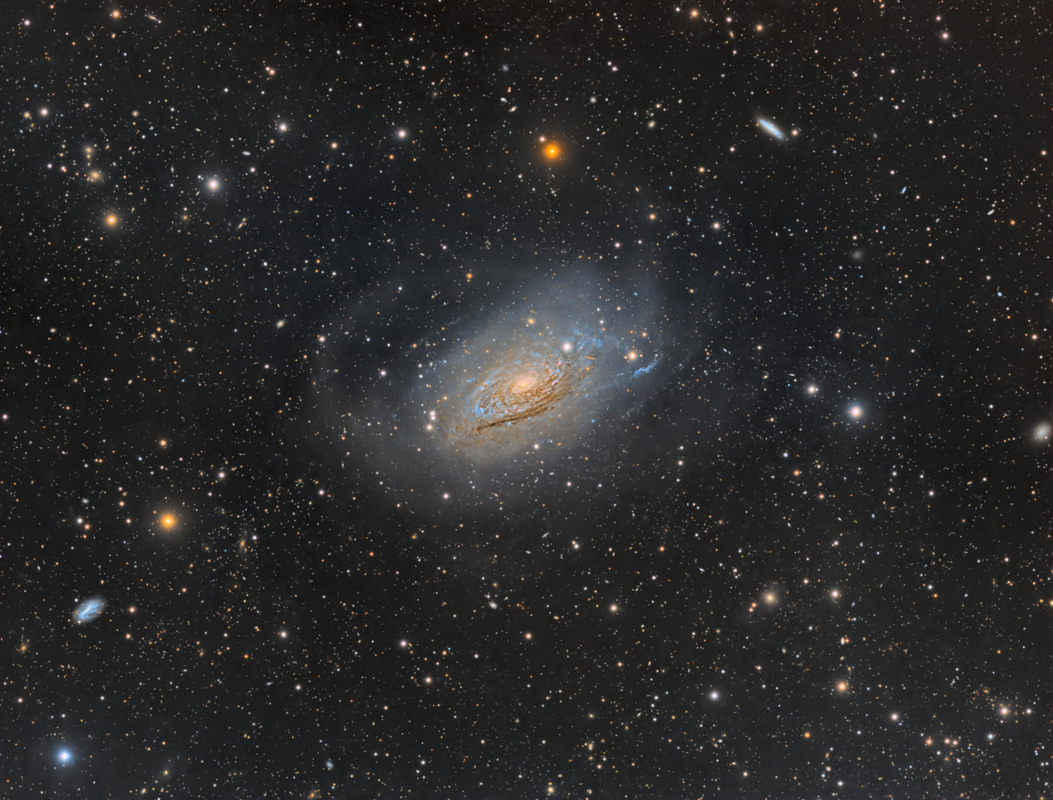 Günün Astronomi Görseli 22 Mayıs 2025 | Uzaydan Haberler Kıvırcık Spiral Galaksi M63 | Uzaydan Haberler