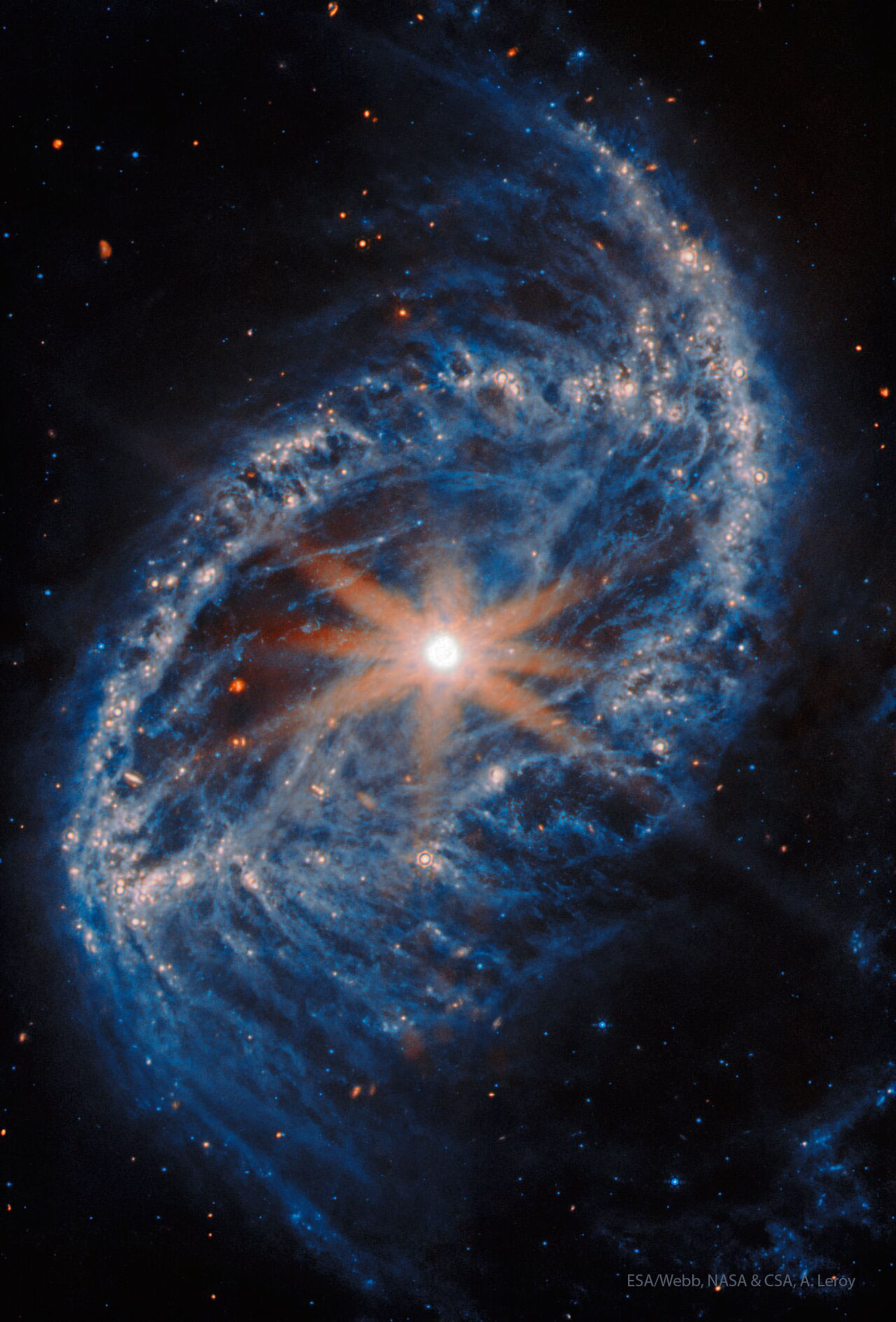 Webb'den Spiral Galaksi NGC 2566 | Uzaydan Haberler