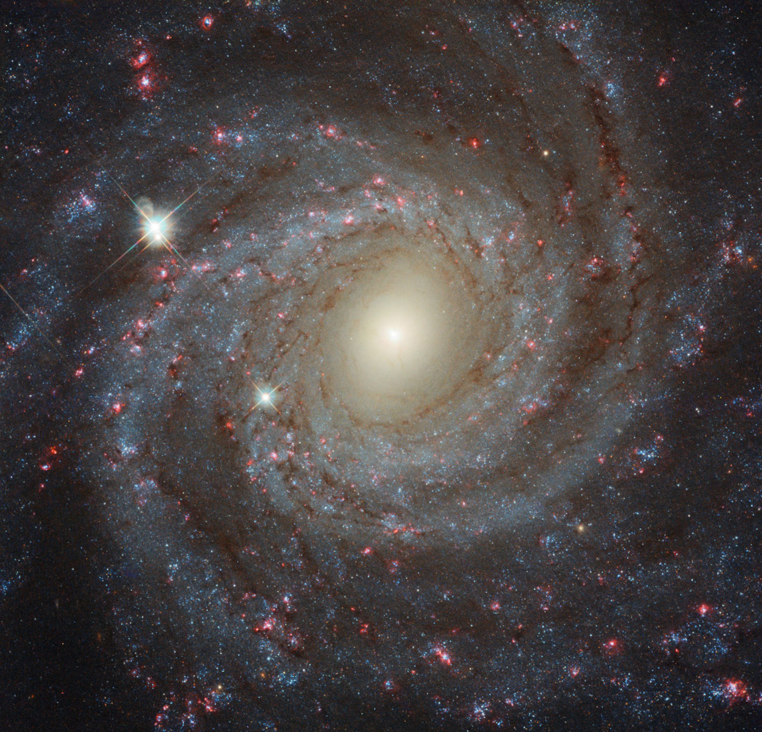 NGC 3344'e bakış | Uzaydan Haberler