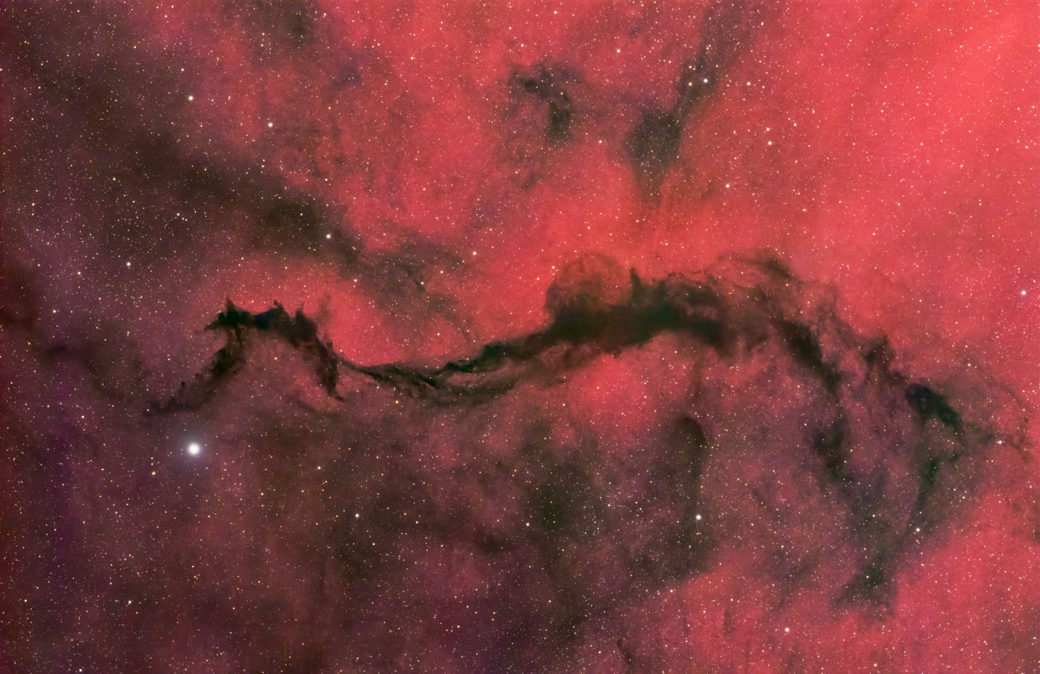 Günün Astronomi Görseli 29 Ağustos 2025 | Uzaydan Haberler Yılancı'daki Karanlık Peçe | Uzaydan Haberler