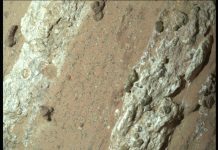 Mars Kayalıklarındaki Leopar Benekleri Mars Kayalıklarındaki Leopar Benekleri