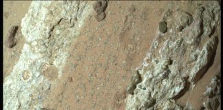 Mars Kayalıklarındaki Leopar Benekleri Mars Kayalıklarındaki Leopar Benekleri