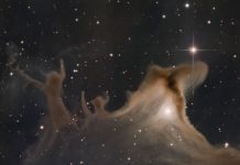 Hayalet Nebulası’nın Toz Şekilleri Hayalet Nebulası'nın Toz Şekilleri