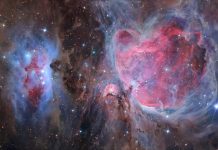 Orion ve Koşan Adam Orion ve Koşan Adam