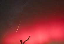 Florida Kuzey Işıkları Florida Kuzey Işıkları