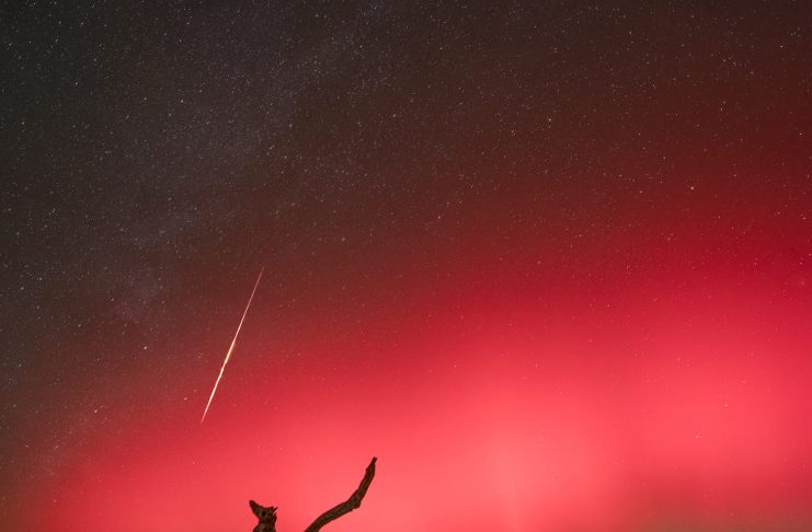 Florida Kuzey Işıkları Florida Kuzey Işıkları