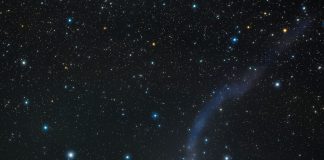 Kuyruklu Yıldız Lemmon’un Gezgin Kuyruğu Kuyruklu Yıldız Lemmon'un Gezgin Kuyruğu