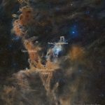 Bukalemun Karanlık Nebulaları Bukalemun Karanlık Nebulaları