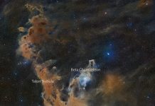 Bukalemun Karanlık Nebulaları Bukalemun Karanlık Nebulaları