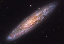 NGC 253: Tozlu Ada Evren NGC 253: Tozlu Ada Evren