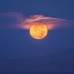 Enberide Dolunay Enberide Dolunay