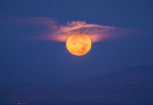 Enberide Dolunay Enberide Dolunay