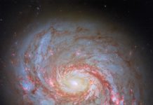 M77: Aktif Merkezi Olan Bir Spiral Galaksi M77: Aktif Merkezi Olan Bir Spiral Galaksi