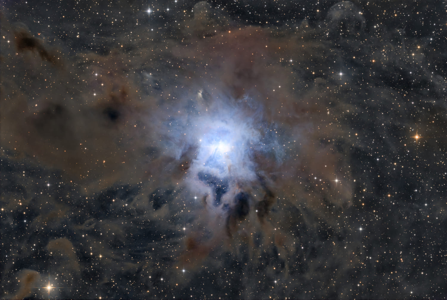 NGC 7023: Süsen Çiçeği Nebulası