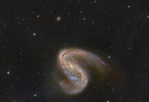 NGC 2442: Uçanbalık’taki Galaksi NGC 2442: Uçanbalık'taki Galaksi