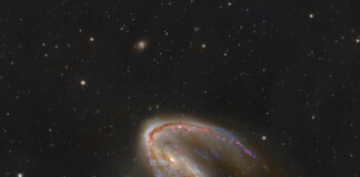 NGC 2442: Uçanbalık’taki Galaksi NGC 2442: Uçanbalık'taki Galaksi