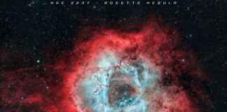 Güller Kırmızıdır Güller Kırmızıdır