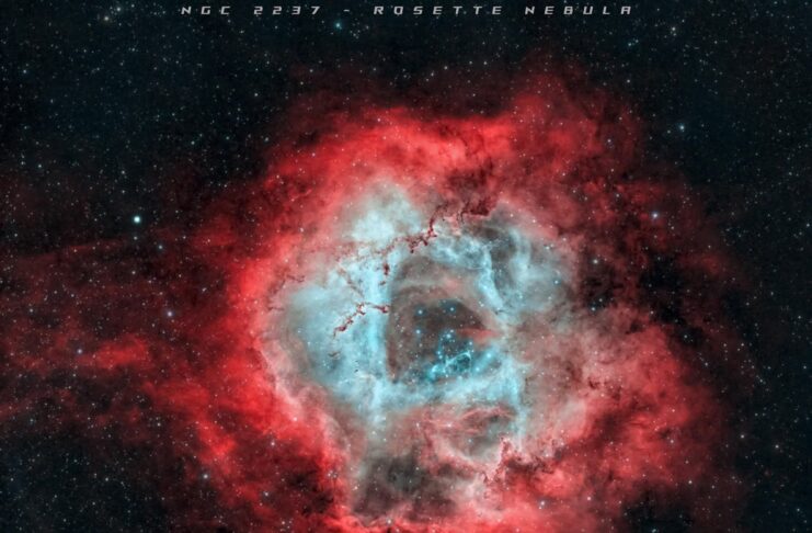 Güller Kırmızıdır Güller Kırmızıdır