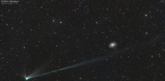 Wierzchoś Kuyruklu Yıldızı’nın Kuyrukları Wierzchoś Kuyruklu Yıldızı'nın Kuyrukları