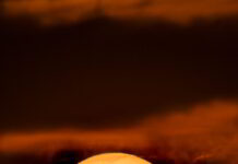 Aktif Güneş Lekesi Bölgesi 4366 Güneş’i Geçiyor Aktif Güneş Lekesi Bölgesi 4366 Güneş'i Geçiyor