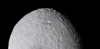 Miranda Yeniden Ele Alındı Miranda Yeniden Ele Alındı