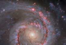 NGC 1566: İspanyol Dansçı Galaksisi NGC 1566: İspanyol Dansçı Galaksisi