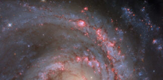 NGC 1566: İspanyol Dansçı Galaksisi NGC 1566: İspanyol Dansçı Galaksisi