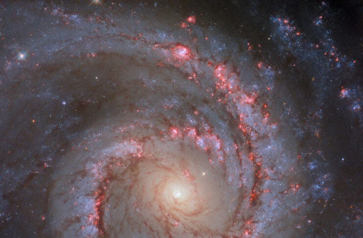 NGC 1566: İspanyol Dansçı Galaksisi NGC 1566: İspanyol Dansçı Galaksisi