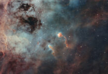 IC 410’un İribaşları IC 410'un İribaşları