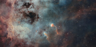 IC 410’un İribaşları IC 410'un İribaşları