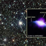 HD 61005’in Astrosferi HD 61005'in Astrosferi