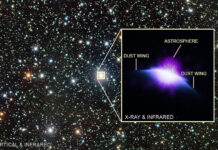 HD 61005’in Astrosferi HD 61005'in Astrosferi