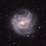 M83: Güney Fırıldağı M83: Güney Fırıldağı