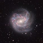 M83: Güney Fırıldağı M83: Güney Fırıldağı