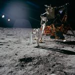 Apollo 11: Biraz Güneşlenmek Apollo 11: Biraz Güneşlenmek