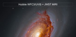 Webb’in M64 Görüşü Webb'in M64 Görüşü
