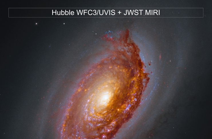 Webb’in M64 Görüşü Webb'in M64 Görüşü