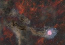 Koza Nebulası Geniş Alan Görünümü Koza Nebulası Geniş Alan Görünümü